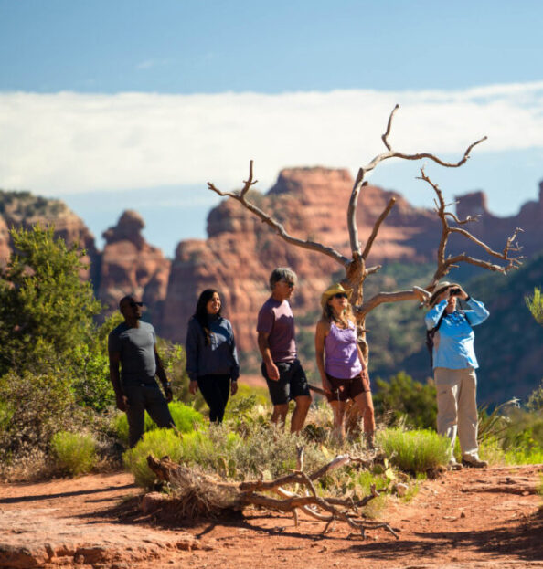 hikers with binoculars on birding hike