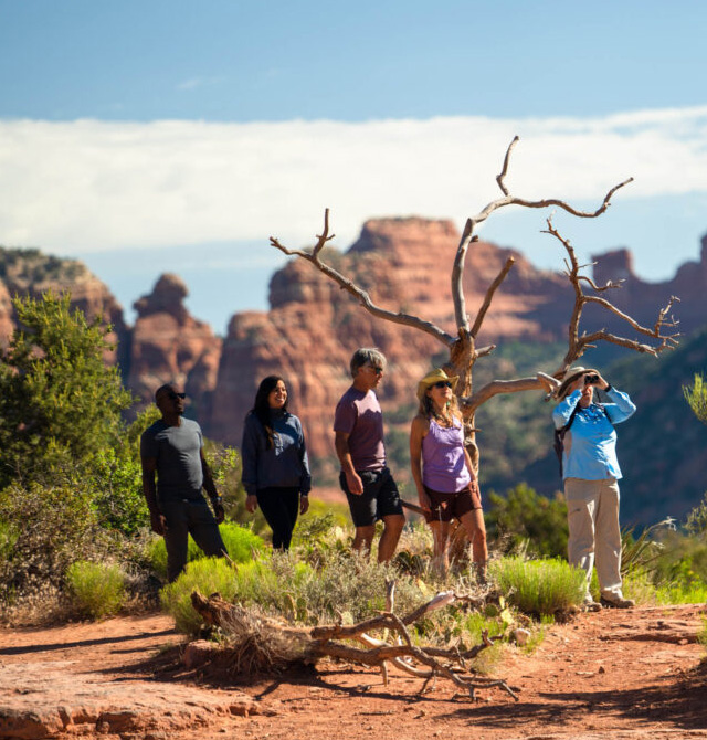hikers with binoculars on birding hike
