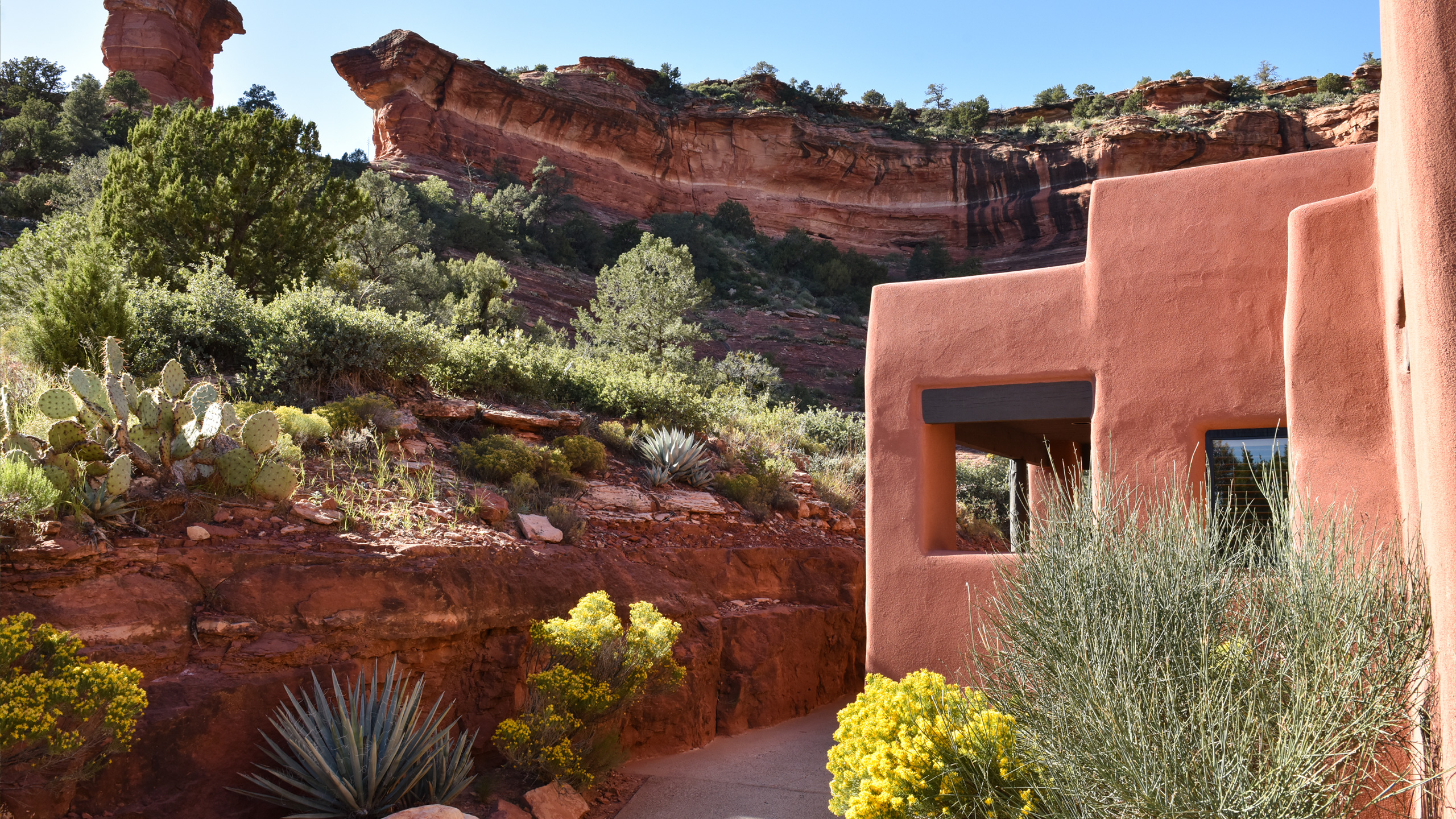 casita with yellow flowers and red rocks