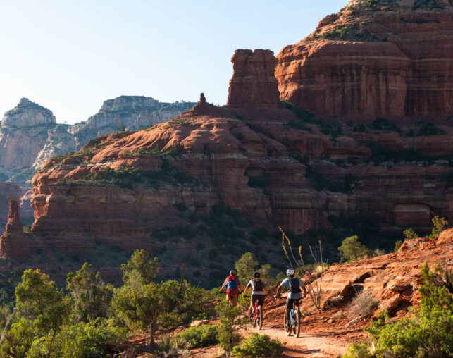 mountain bikers in sedona on trail in red rocks