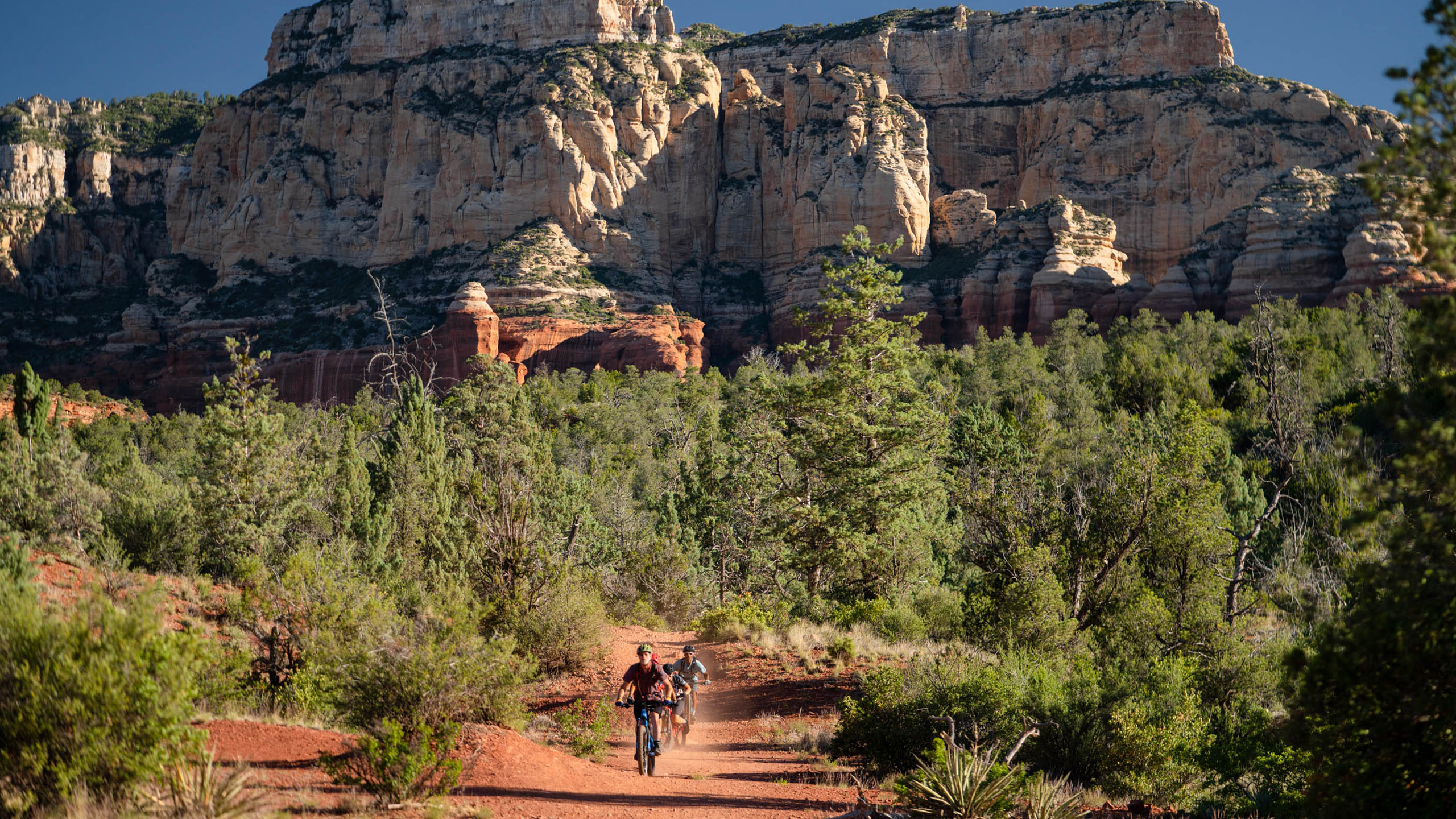 Mountain bikers on trail with mountain in the background