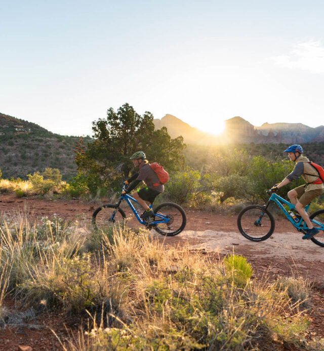 two mountain bikers on trail