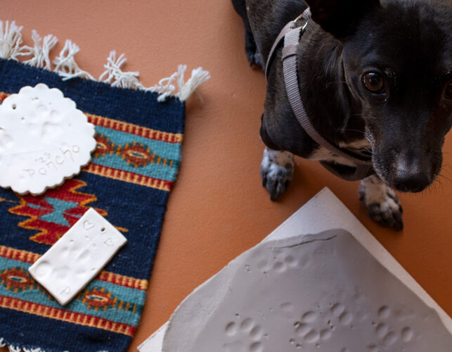 black dog, pottery class paw prints