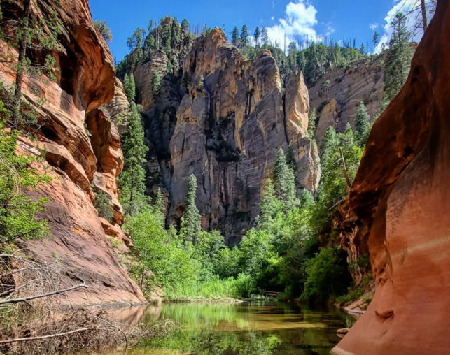 Sedona West Fork Trail, view of Oak Creek with bright green foliage and red rocks