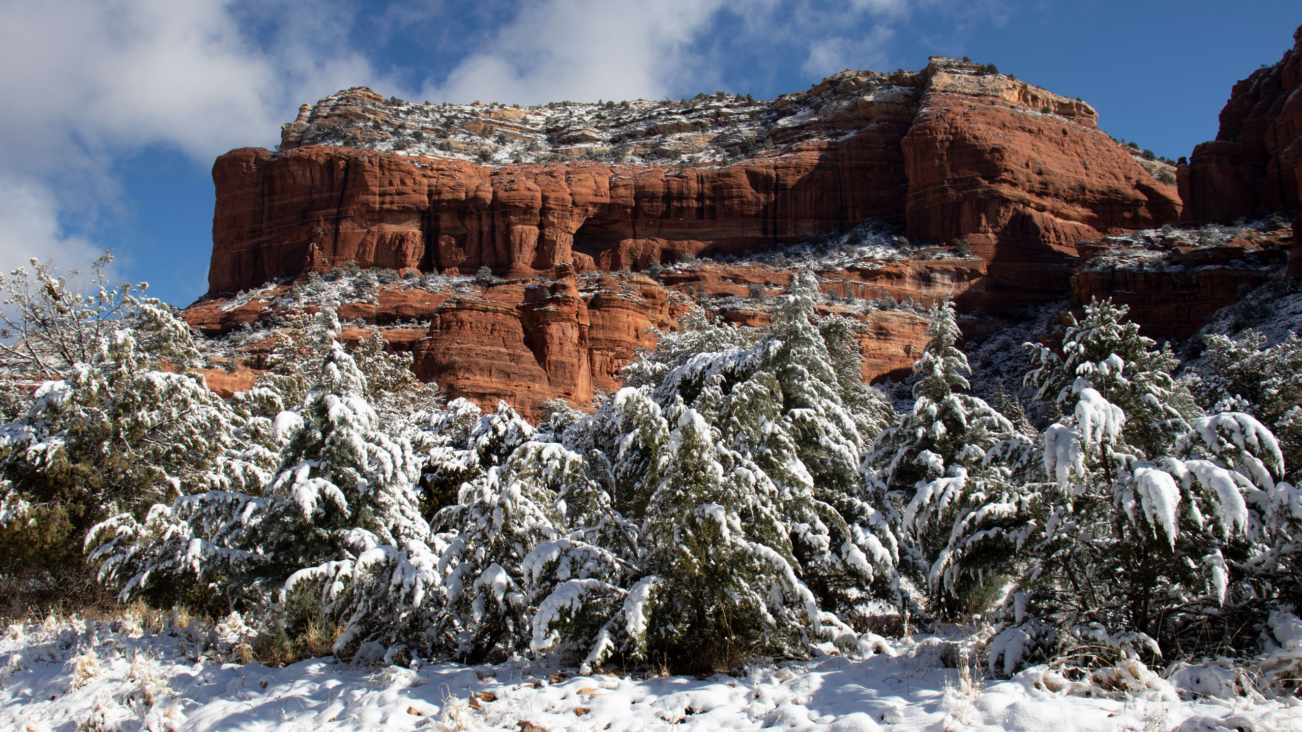 snowy sedona red rocks