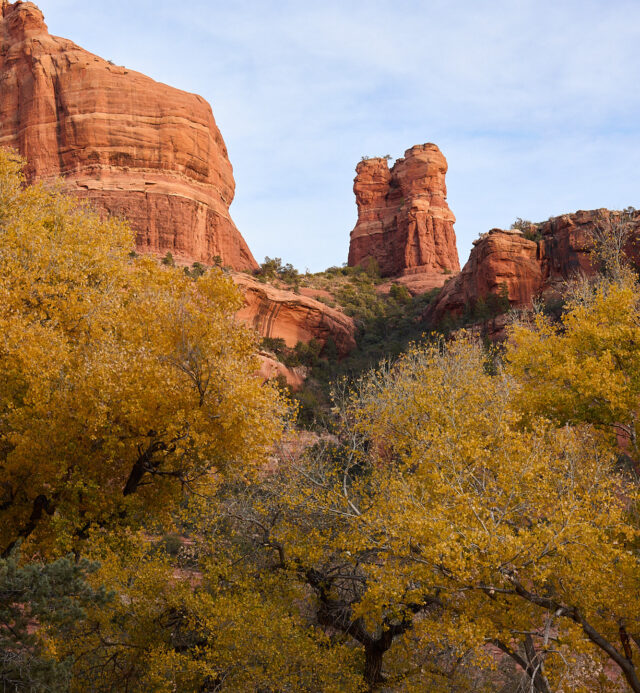 yellow trees fall in Boynton Canyon