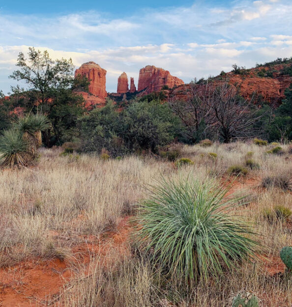 Cathedral Rock Vortex HIke