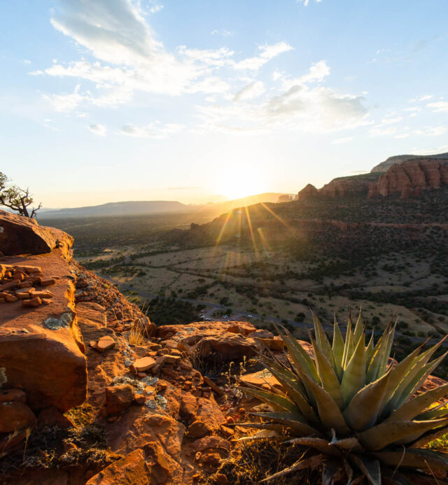 morning light on the red rocks