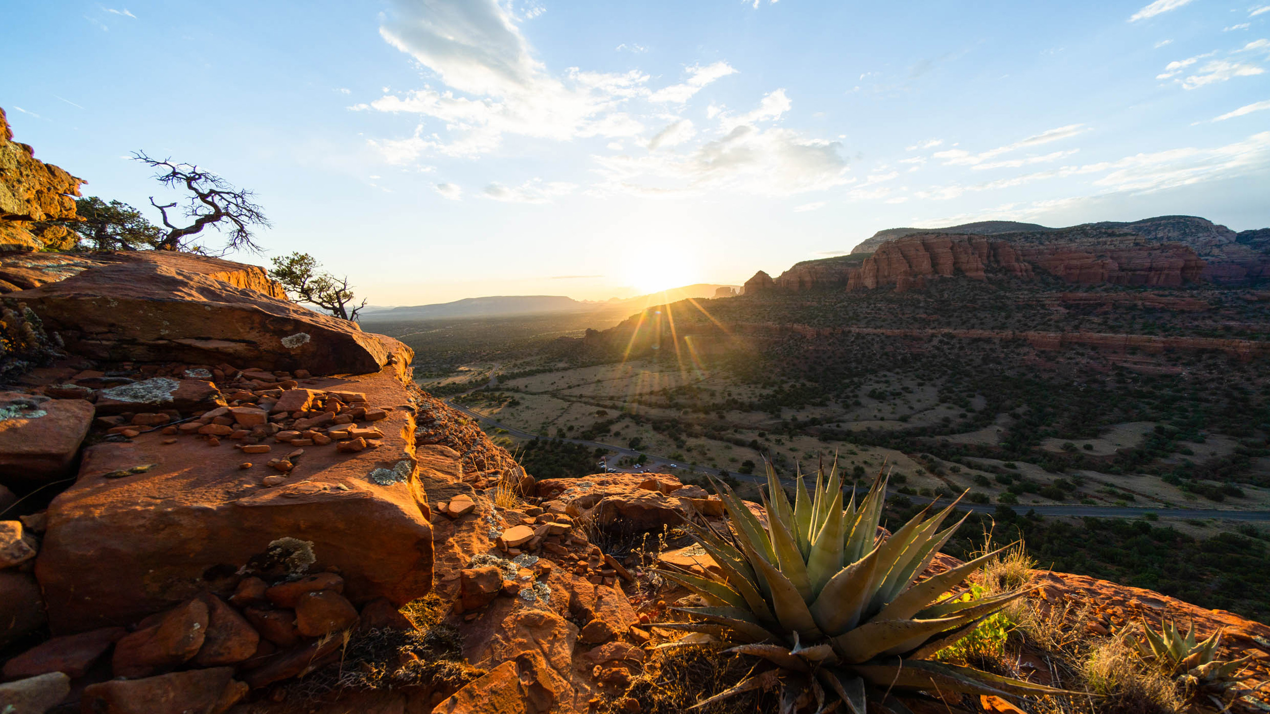 morning light on the red rocks